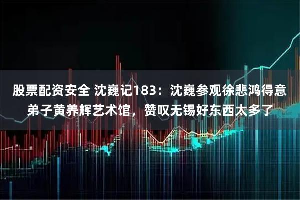 股票配资安全 沈巍记183:沈巍参观徐悲鸿得意弟子黄养辉艺术馆,赞叹无锡好东西太多了