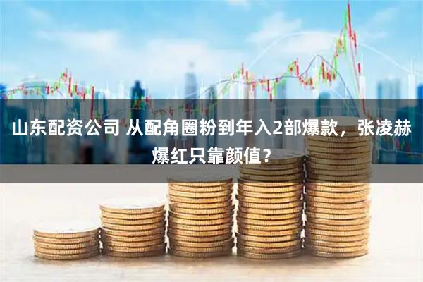 山东配资公司 从配角圈粉到年入2部爆款，张凌赫爆红只靠颜值？