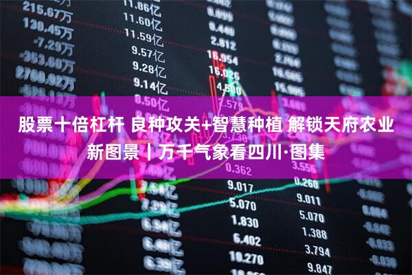 股票十倍杠杆 良种攻关+智慧种植 解锁天府农业新图景｜万千气象看四川·图集